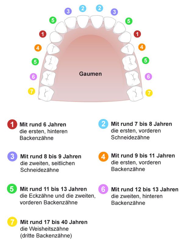 Erstuntersuchung Kieferorthopäde Bad Cannstatt, Dres. Schaber, Breiding und Kollegen Erstuntersuchung Kieferorthopäde Bad Cannstatt, Dres. Schaber, Breiding und Kollegen